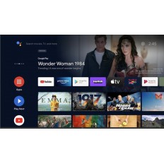 TELEVISIONE QBELL 55 POLLICI
